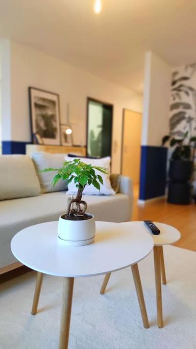 Rooftop In Kehl Bei Strasbourg Екстер'єр фото