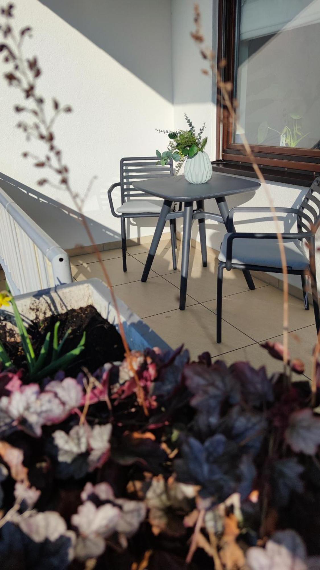 Rooftop In Kehl Bei Strasbourg Екстер'єр фото